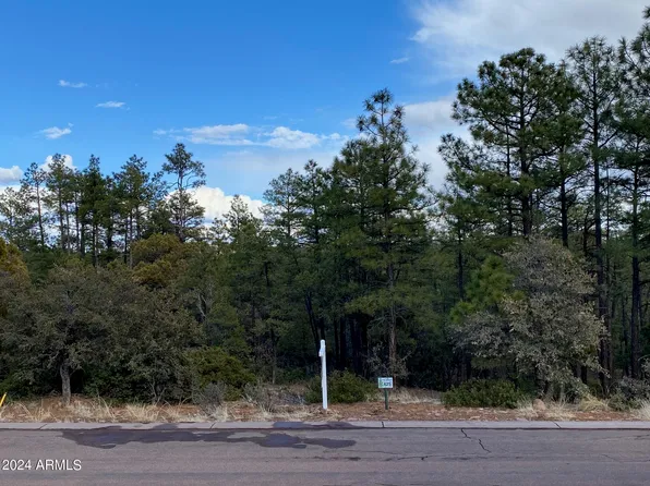 1675 S PLEASANT VIEW Drive #425, Show Low, AZ 85901