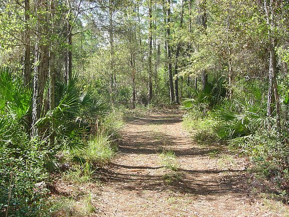 Drive way is a quarter mile 