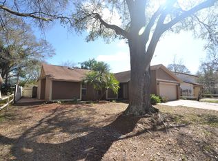 15909 Country Farm Pl, Tampa, FL 33624