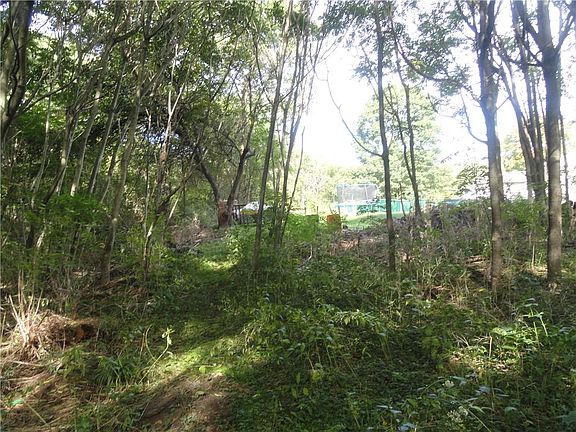 5th image of 29 Crest Ave