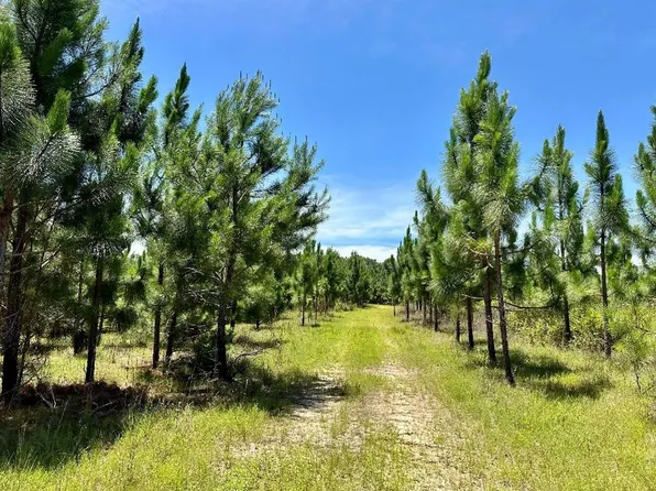 0 County Road 325, Troy, AL 36079