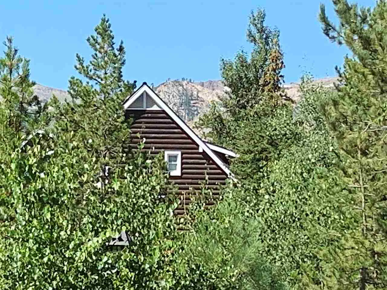 227 Squaw Valley Rd #1 photo 1
