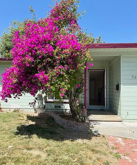 565 Manzanita Ave — Photo 3