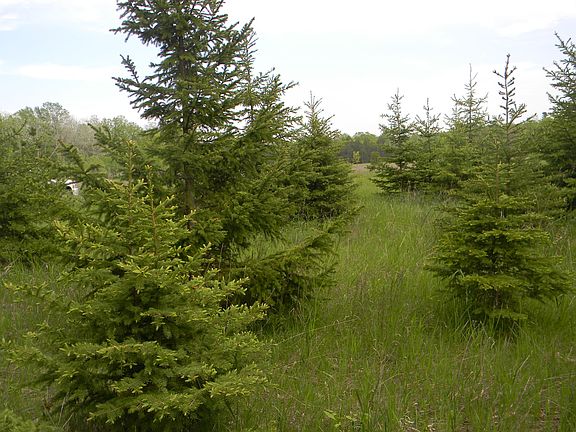 2nd image of Off Hwy 57