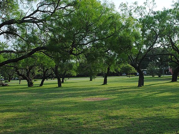 Front yard