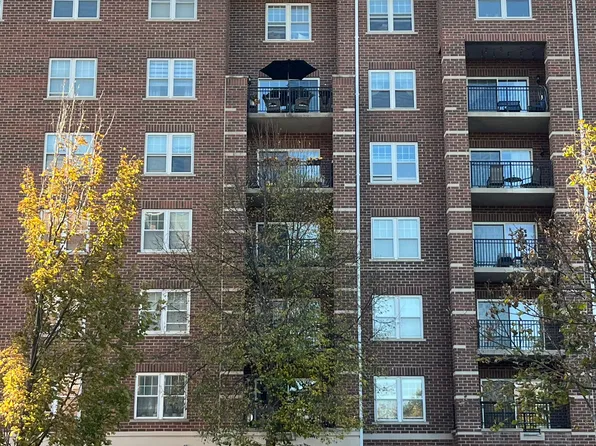 410 W Mahogany Ct Unit 608, Palatine, IL 60067
