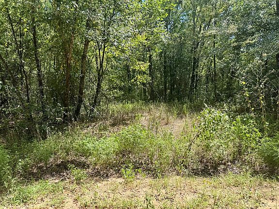 4th image of PARCEL 13270 County Road 4545
