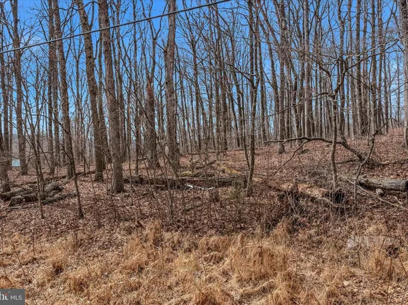 LOT 6 Pauls Woods Rd, Delray, WV 26714