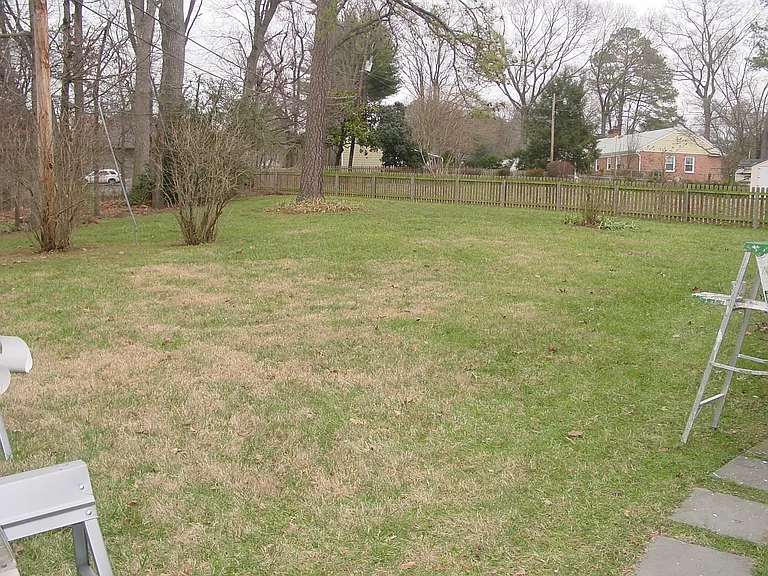 Rear Yard