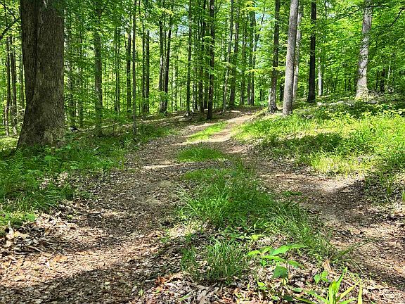 2nd image of Tm 53a A 11 Rapidan Way