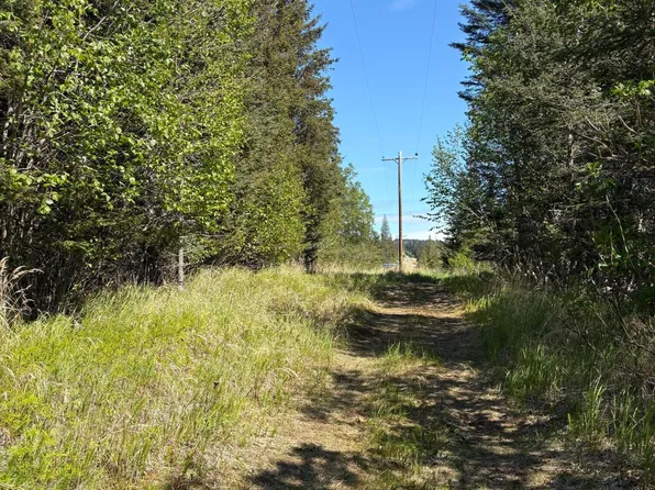 L3a Virginia Ave, Homer, AK 99603