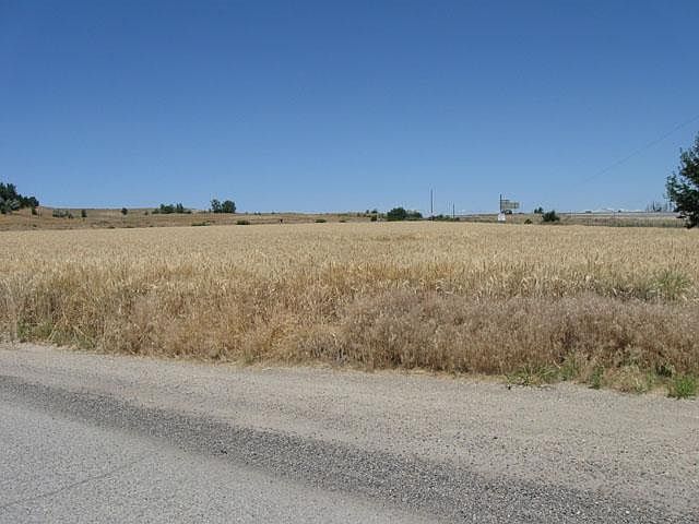 2nd image of Oasis Rd