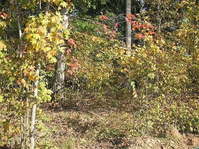 2nd image of 1 Red Bud Rd