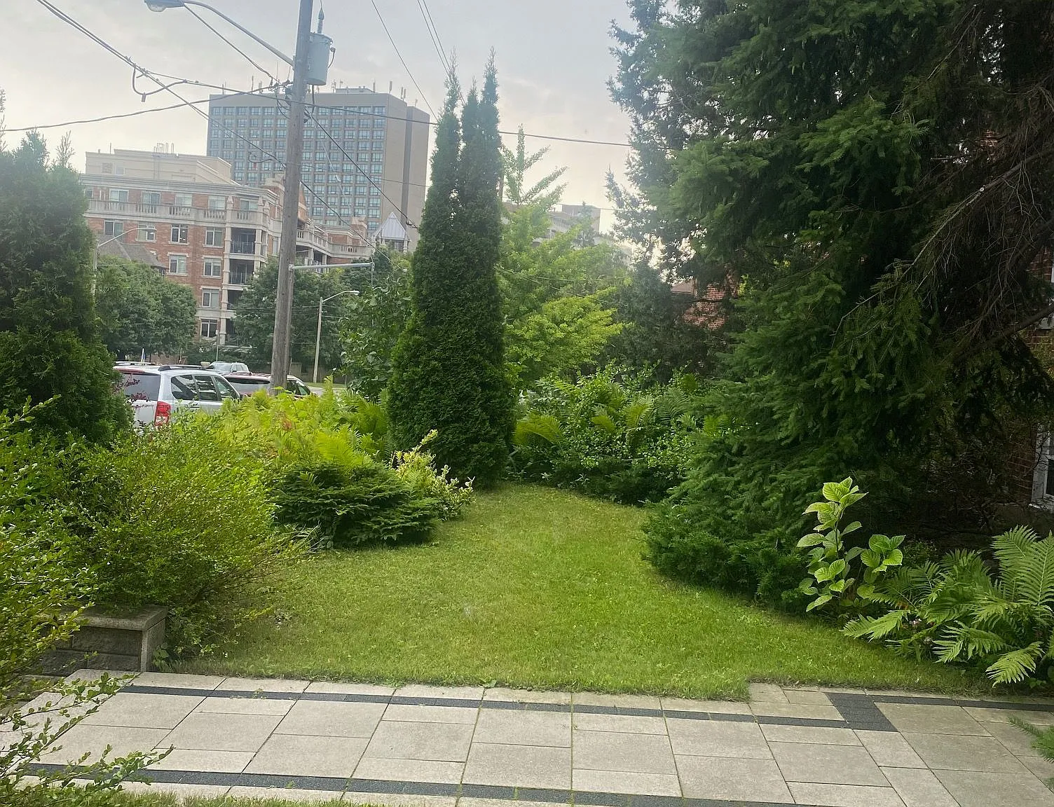 1 bed, $2,290 — Photo 2