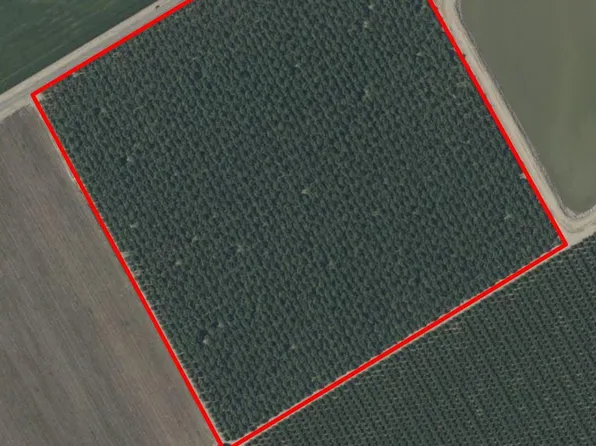1660 Fruit Ave, Patterson, CA 95363