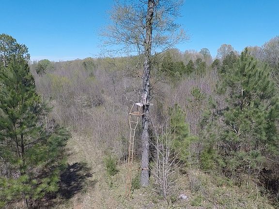 4th image of 0 New Zion Rd