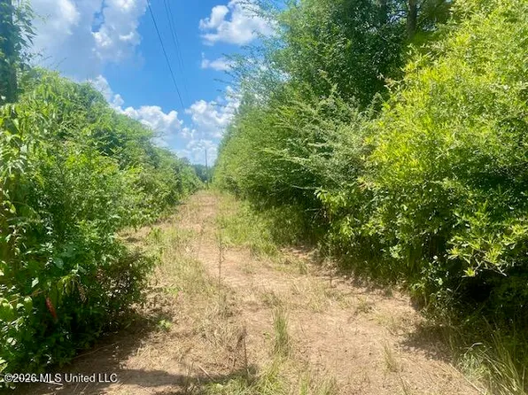 Archie Boyd Rd, Jayess, MS 39641