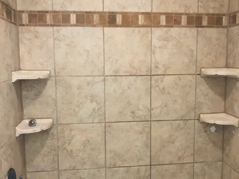 Master shower and tub