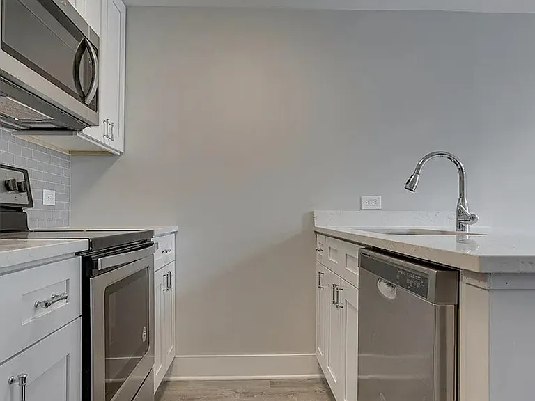 1221 N Dearborn St #806N — Photo 5
