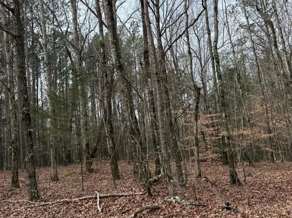 County Road 2277, Kosciusko, MS 39090