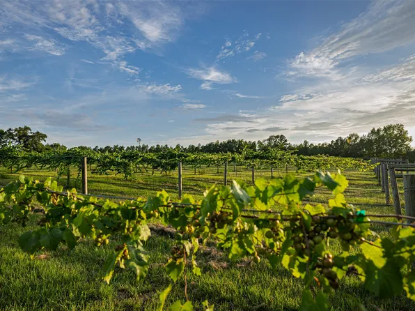 0 County Road 2138, Troup, TX 75789