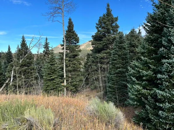 Panadero Ave #19, La Veta, CO 81055