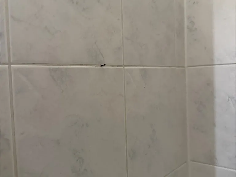 135 Primero Way — Photo 14