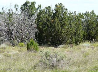 617 Serenity Ln #4, Heber, AZ 85928