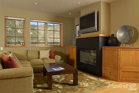 Living Room and Fireplace