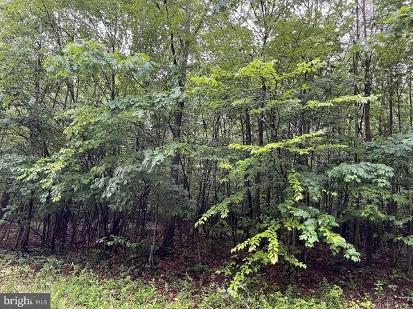 Westview Crossing Rd, Grantsville, MD 21536