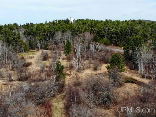 Tbd9 N Duncan St, Ahmeek, MI 49901