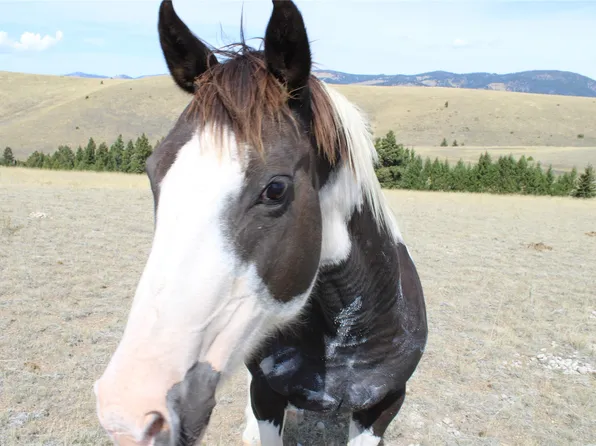 10 Saddle Horn Ln, Garrison, MT 59731