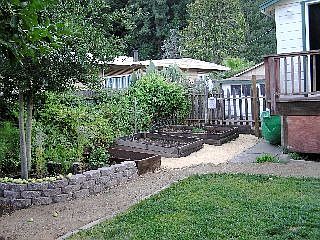 Raised beds