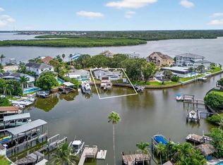 120 Carlyle Cir, Palm Harbor, FL 34683