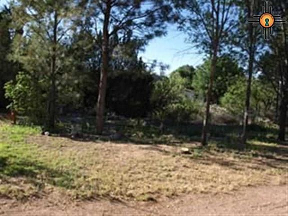 5th image of 31 Quail Dr