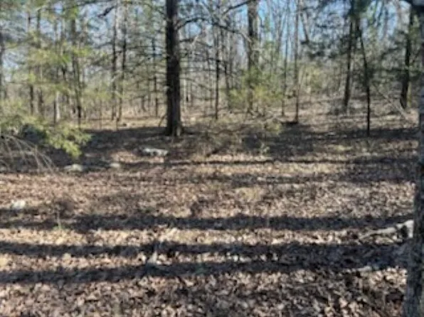 001-00170-006 Mc #6071, Flippin, AR 72634