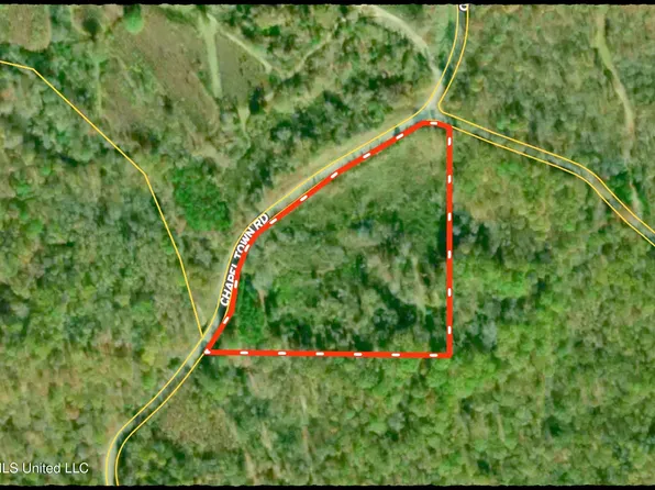 Chapel Town Rd, Courtland, MS 38620
