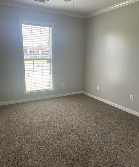 1149 Stafford Dr — Photo 7