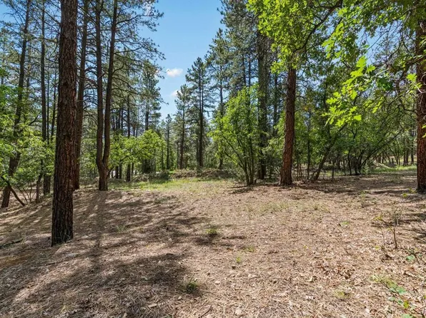 57 & 99 Thompson Lane, Durango, CO 81301