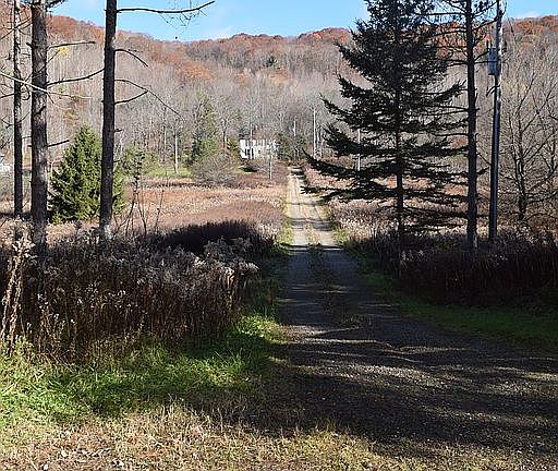 3rd image of 6781 Ellicottville Maples Rd