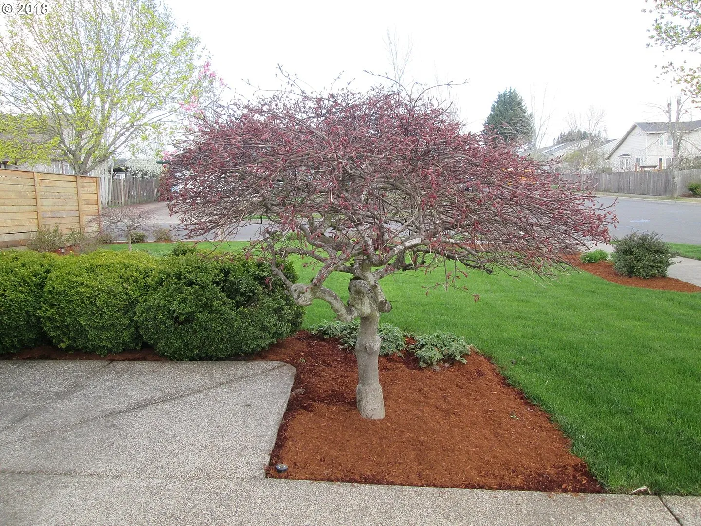 Bright 3 Bedroom Home with Vaulted Ceilings, Bay Windows, Granite Kitchen & Spacious Backyard — Photo 3