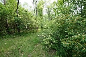 5th image of 5636 Walnut Hall