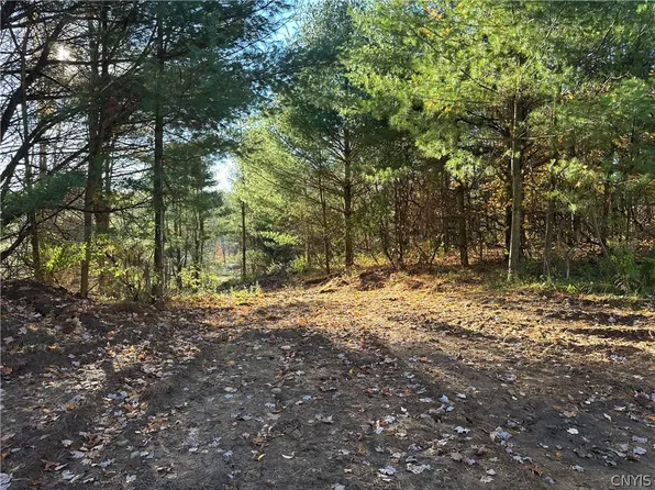 Wilna Ave Lot 44, Carthage, NY 13619