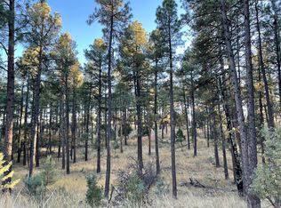 121 Paradise Valley Dr, Timberon, NM 88350