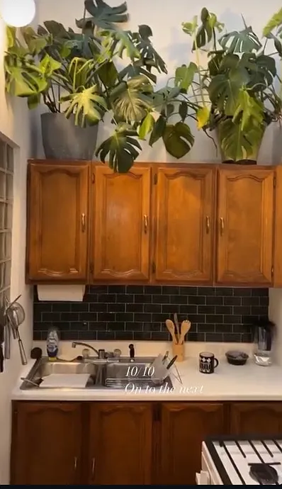 1 bed, 600 sqft, $1,585 — Photo 3