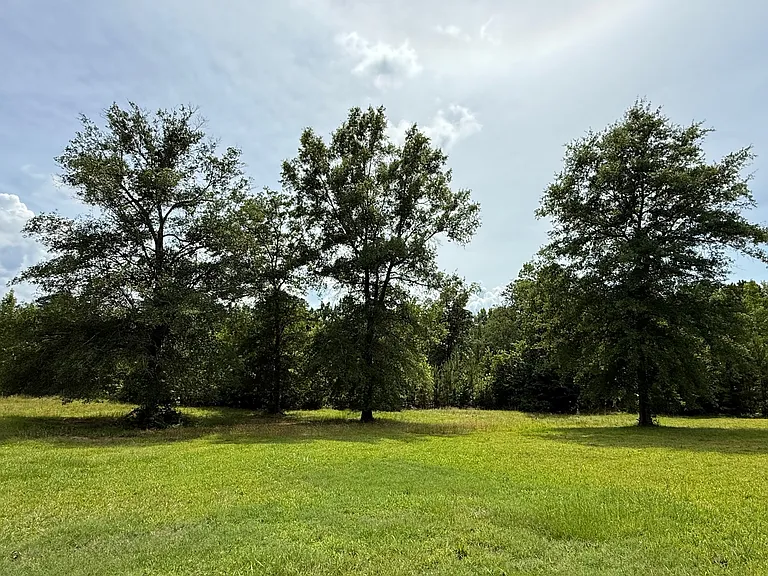 Backyard view