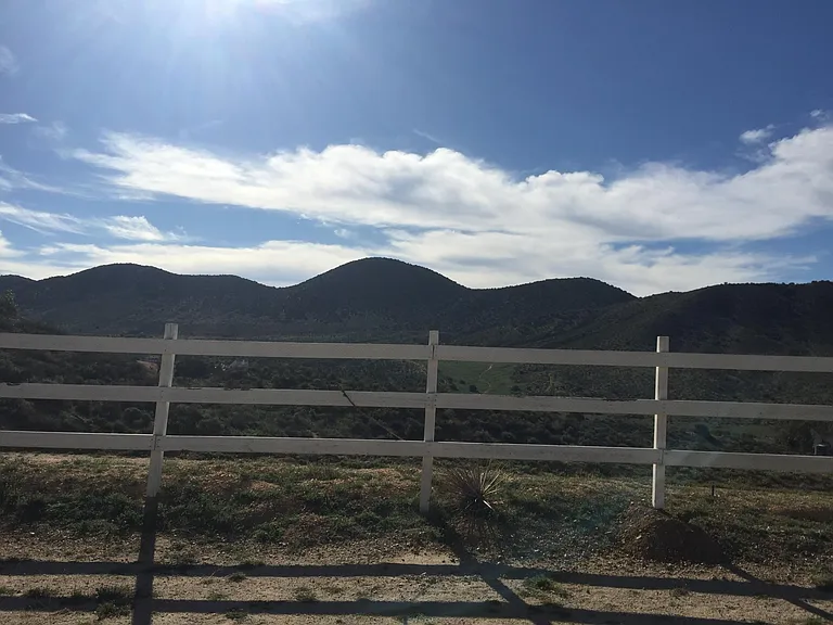 View from the paddock