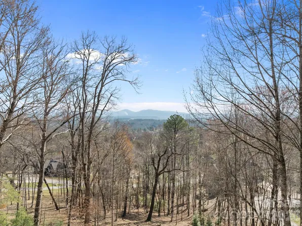 1105 High Vista Dr, Mills River, NC 28759