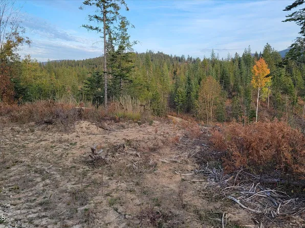 2 Pioneer Ln, Priest River, ID 83856