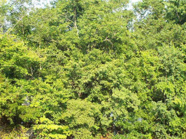 0 Tsp 29n R 3e Ter #2, Piedmont, MO 63957